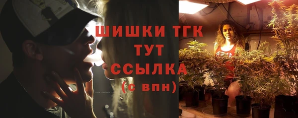 прущие грибы Осинники