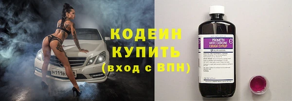 прущие грибы Осинники