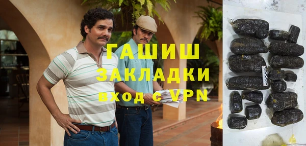 прущие грибы Осинники