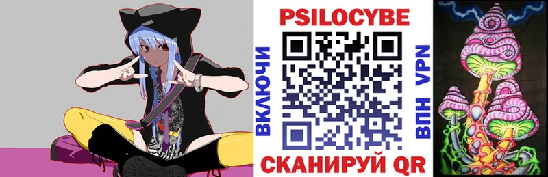 Псилоцибиновые грибы Psilocybe  купить наркоту  Энем 